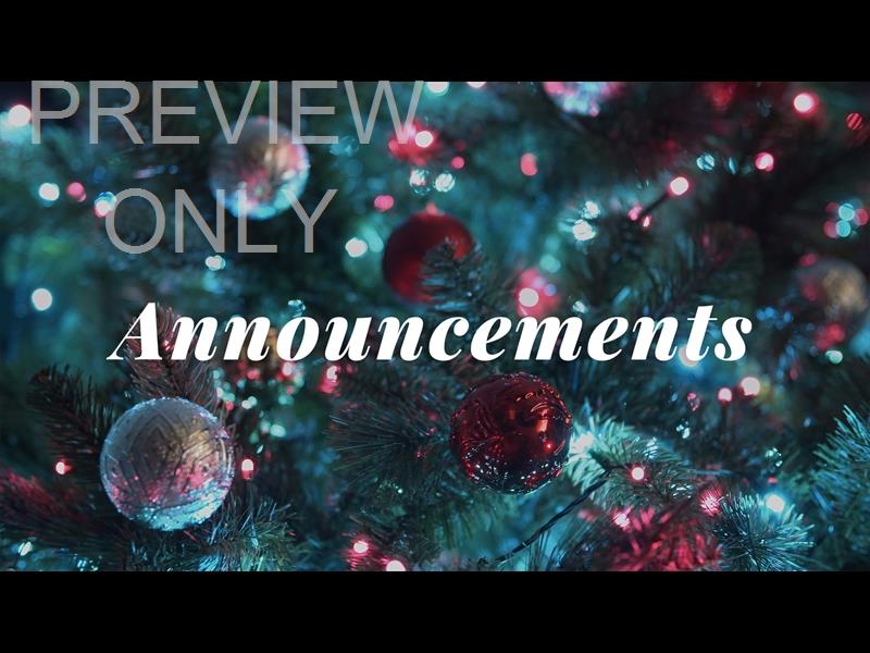 Christmas Lights Ii:  Still