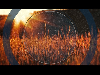 Fall Evening Motion Loop