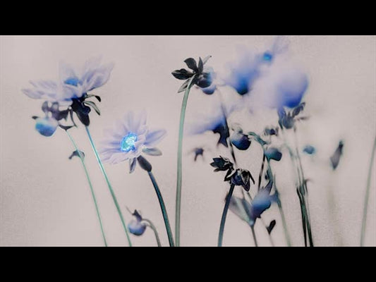 Floral Line Glow 3