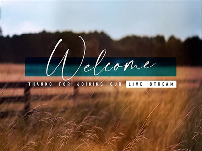 Amber Fields Stream Welcome