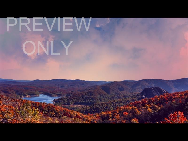 Wilderness Fall 8 Still