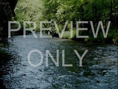 River Wild 16 Hd Still