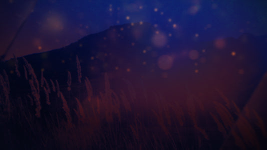 Floating Lights Still 1