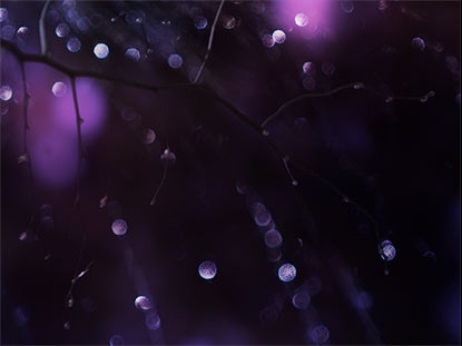 Winter Frost 10