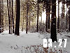 Snow Countdown