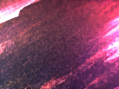 Color Dynamics Motion 8