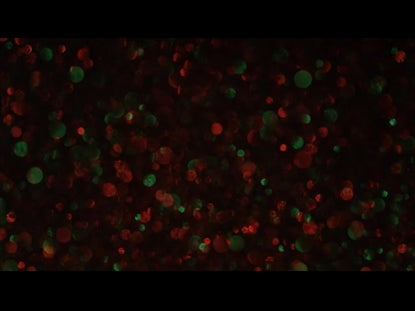 Christmas Glitter Slow Lights