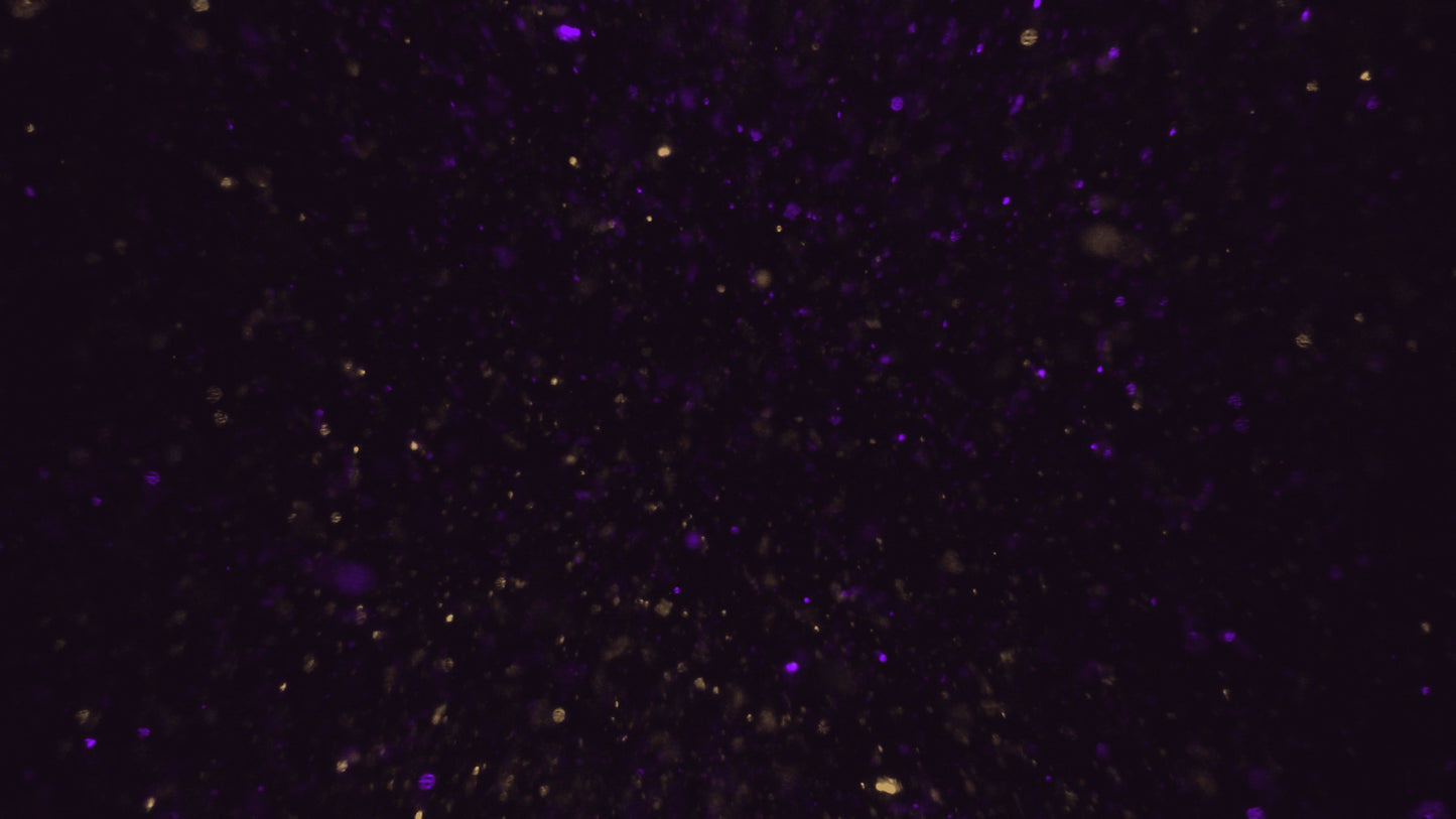 New Years Glitter 03 Still