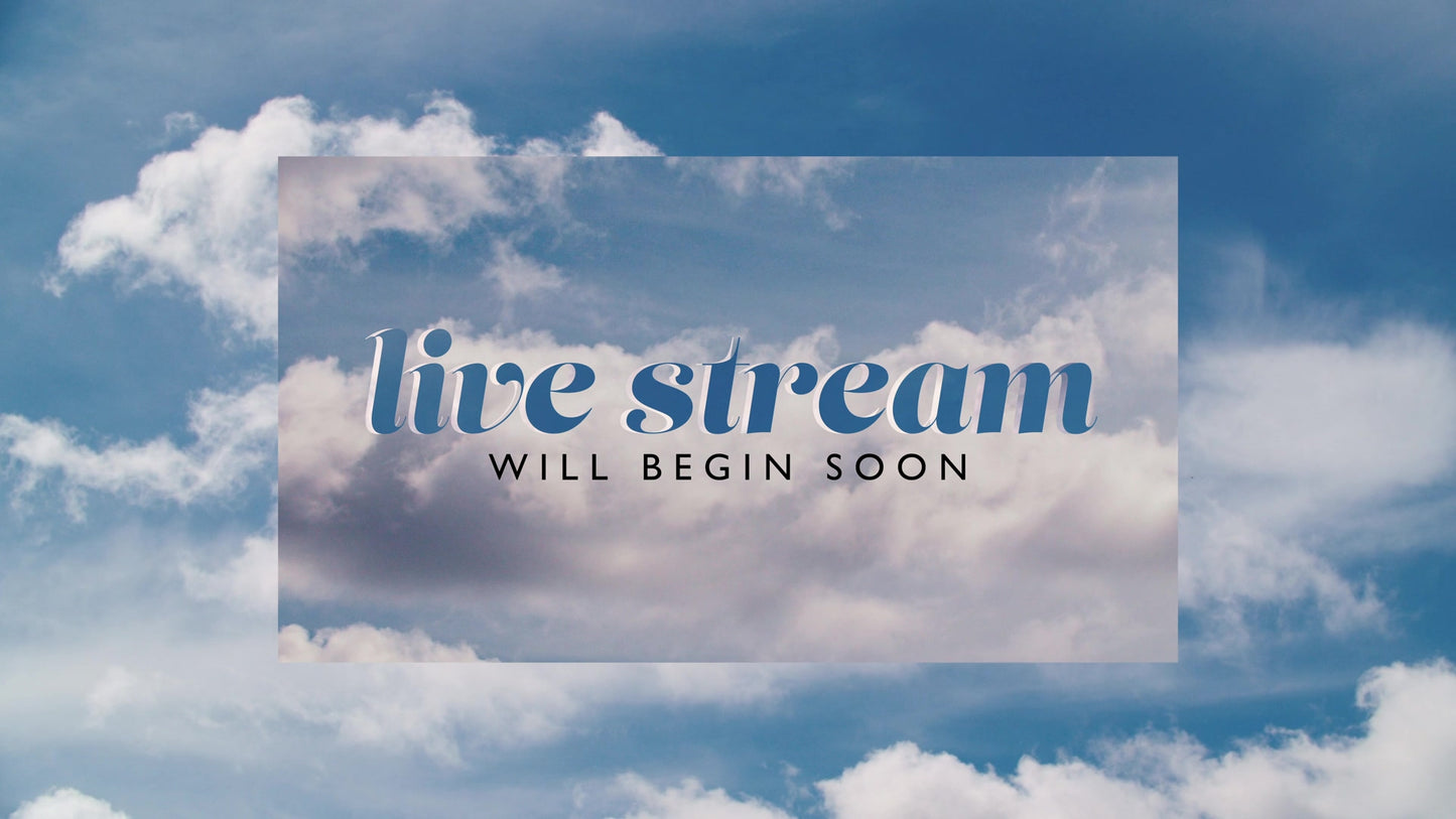 Spring Nature Still Live Stream