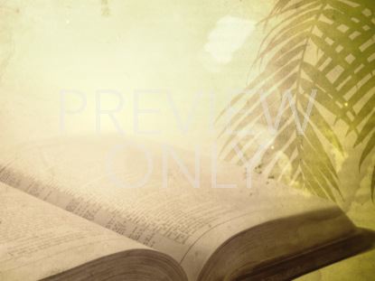 Palm Scripture Still