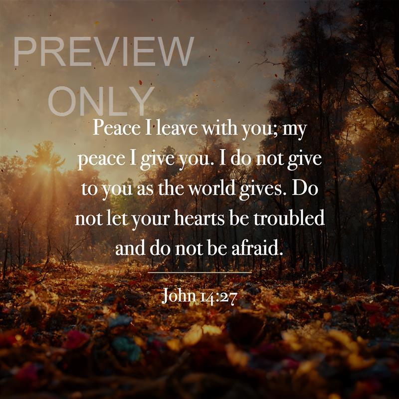 John 14:27