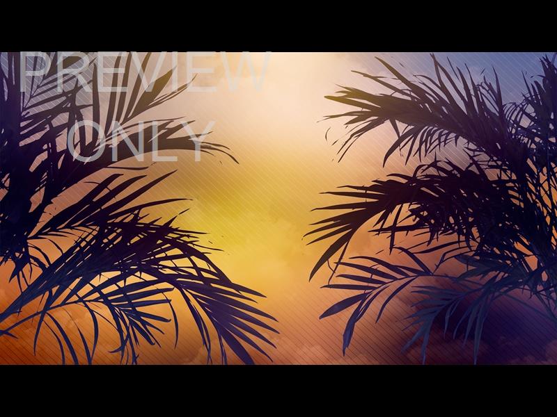 Sun Palms 2 Still