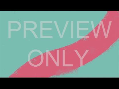 Single Stripe Teal Pink