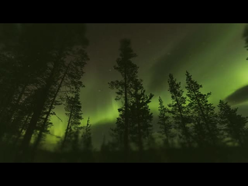 Journey To The Nativity Aurora Loop