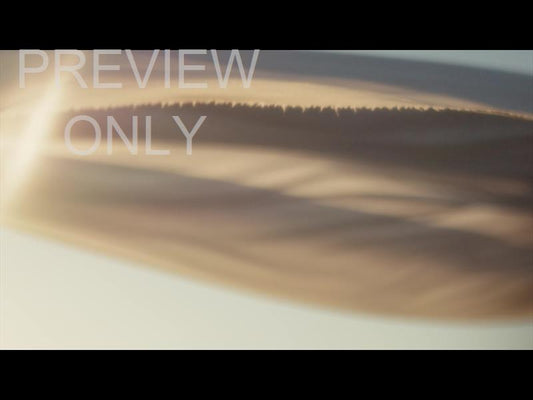 Banner Flow Slide 10