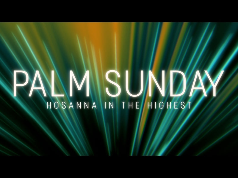 Light Ray Palm Sunday