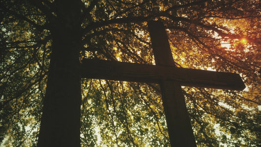Cross 12 Still