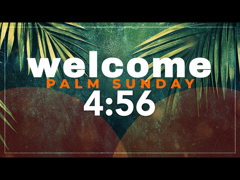 Palm Orange Countdown