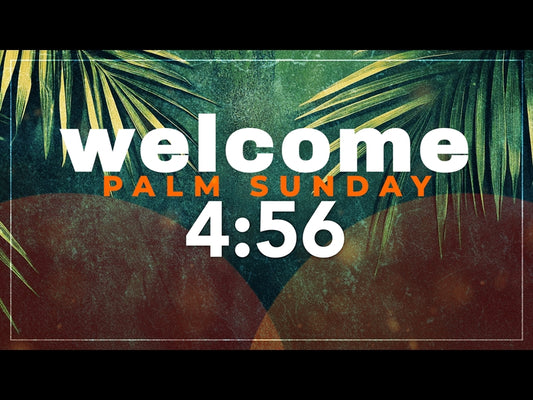 Palm Orange Countdown