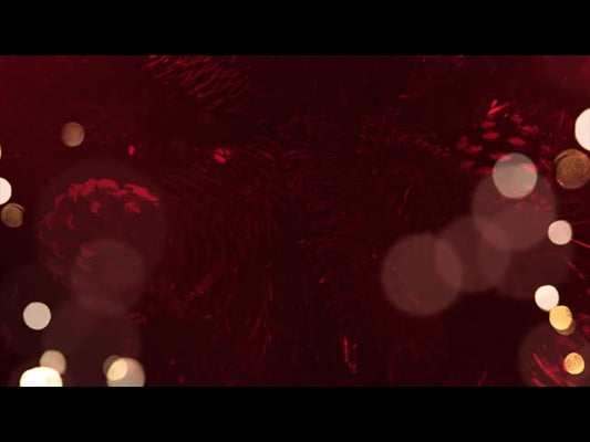 What's Your Focus Loop 3