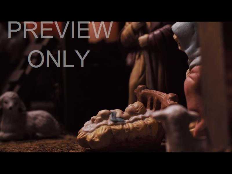 In A Manger Still 08