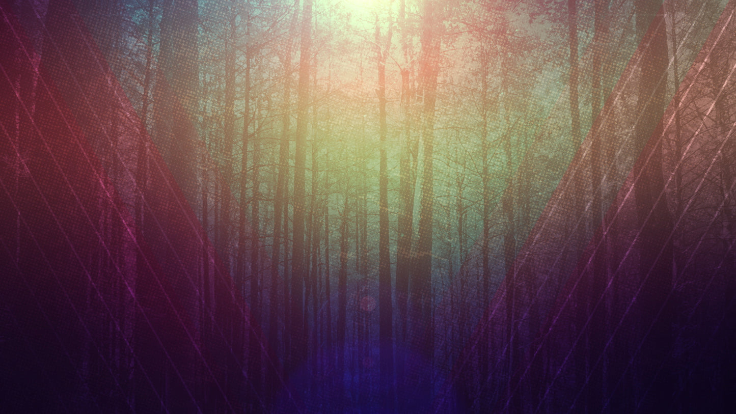 Fall Forest 03