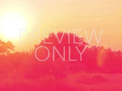 High Fashion Nature 5