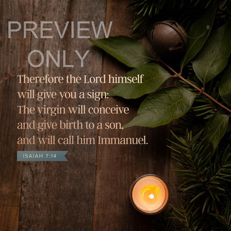 Cozy Advent Isaiah 7:14