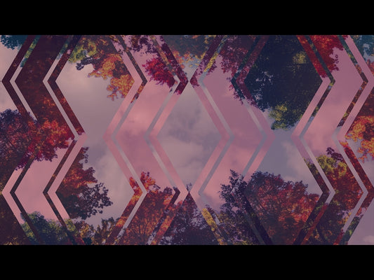 Fall Trees 9 Remix