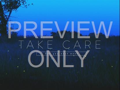 Fireflies Take Care Title 1