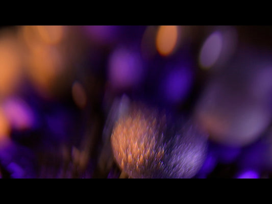 Christmas Ornamental 7