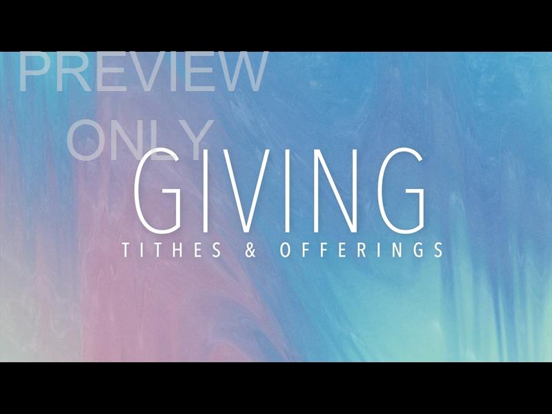 Springtide Still Giving