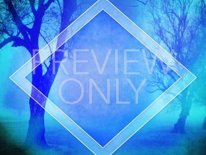 Autumn Forest 9 Still