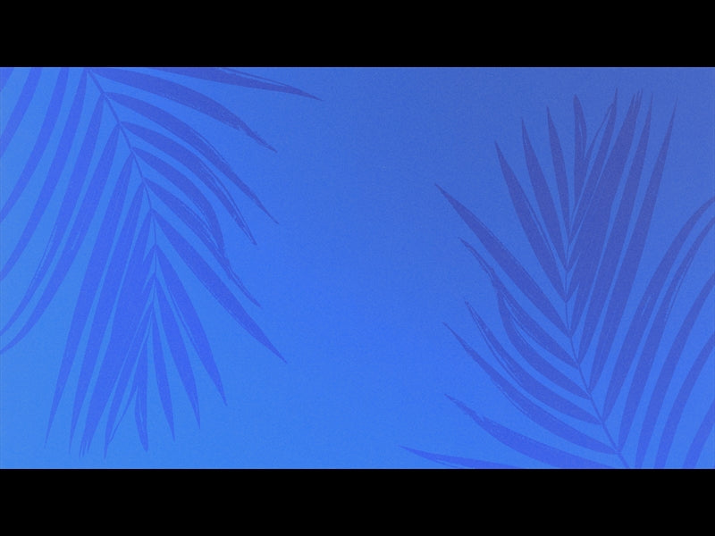 Risen Palms 9