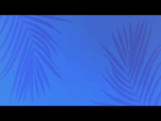 Risen Palms 9