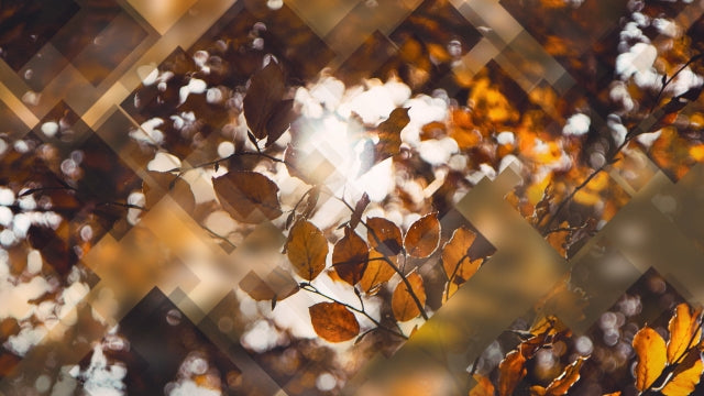 Autumn Journey 01