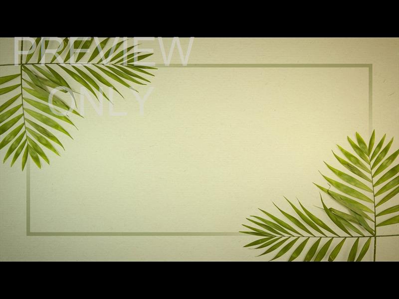 Palm Sunday Still