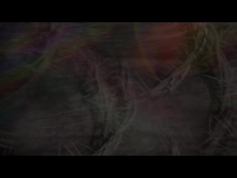 Easter Arches 08 Loop