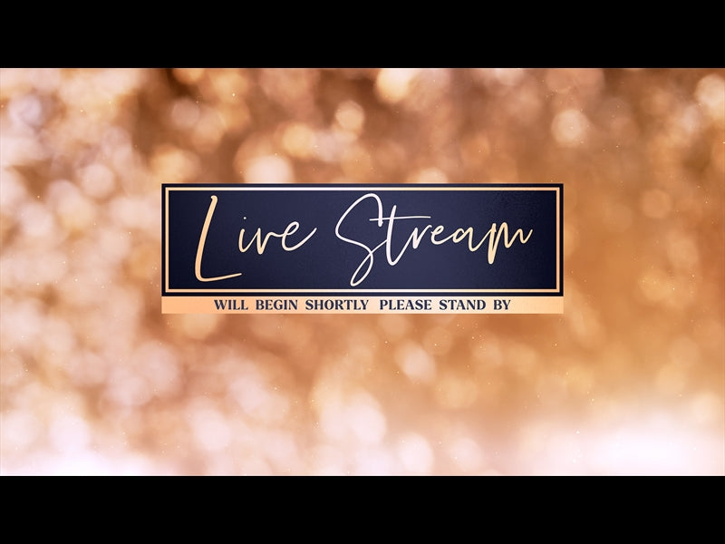 Christmas Light: Live Stream