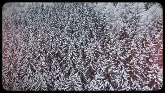 Retro Winter 05