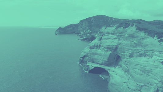 The Coast 2 Alt Still