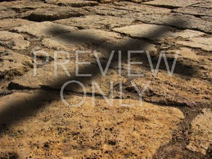 Cross Shadow On Cobblestones