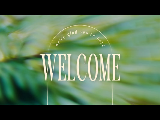 Forest Light Welcome