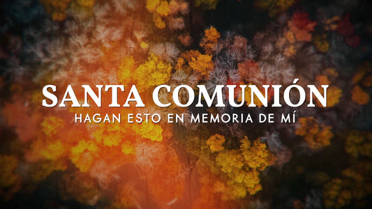 Aerial Journey Communion Still - Spanish