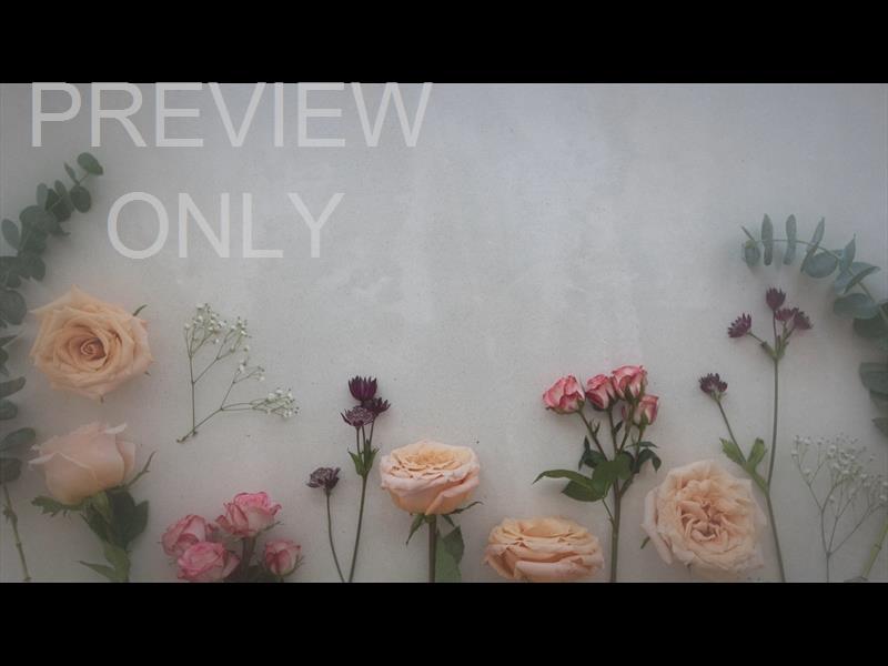Florist Still 01
