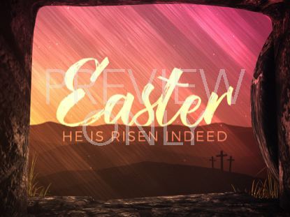 Vivid Fibers Easter
