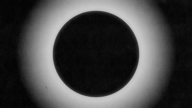 Silhouettes 11