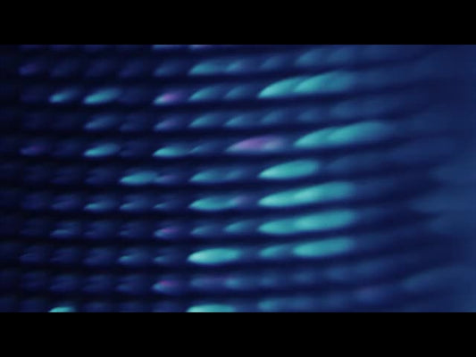 Aqua Scales 3