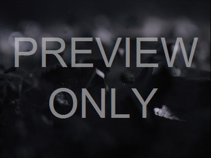 Resurrection 39