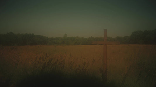 Cross 11 Alt Still